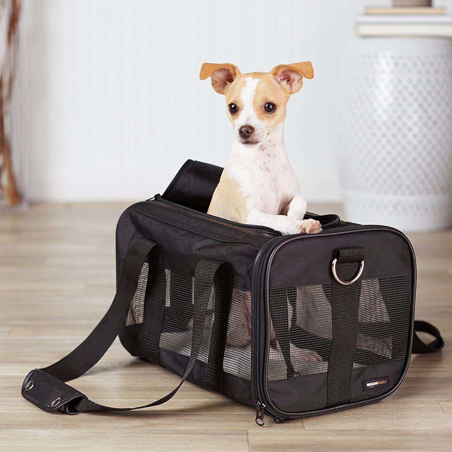 AmazonBasics Soft-Sided Pet Travel Carrier
