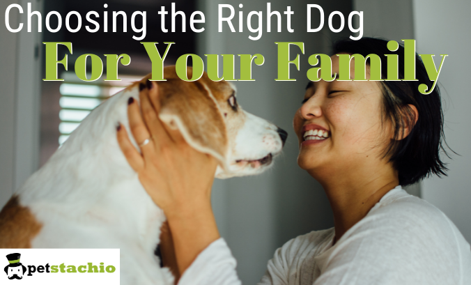 Choosing the right dog for your family